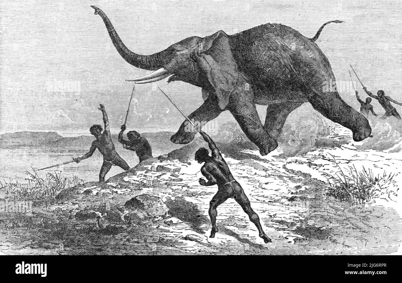 'Collecting Ivory; Life in a South African Colony', 1875. From, 'Illustrated Travels' by H.W. Bates. [Cassell, Petter, and Galpin, c1880, London] Belle Sauvage Works.London E.C. Stock Photo
