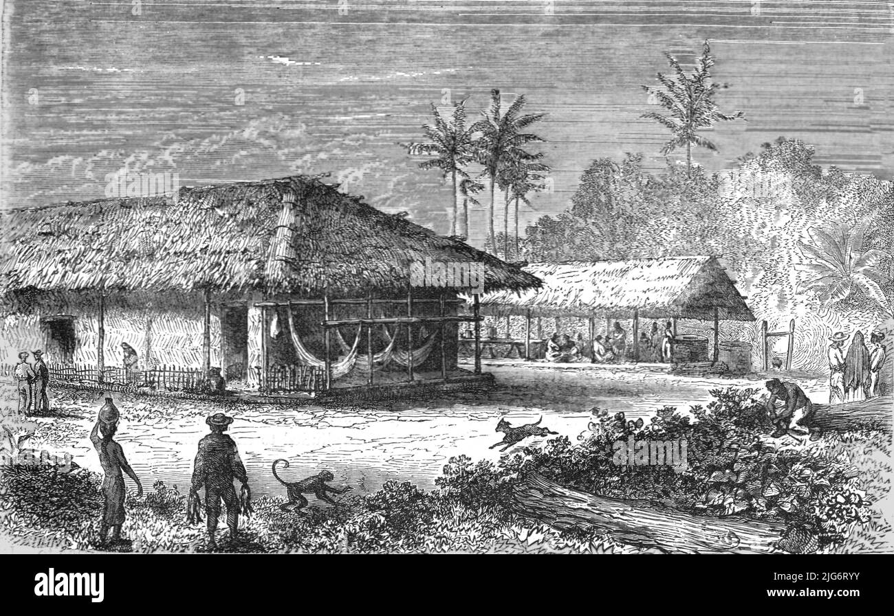 'Farm in Brazil; Rio De Janeiro and the Organ Mountains', 1875. From, 'Illustrated Travels' by H.W. Bates. [Cassell, Petter, and Galpin, c1880, London] Belle Sauvage Works.London E.C. Stock Photo