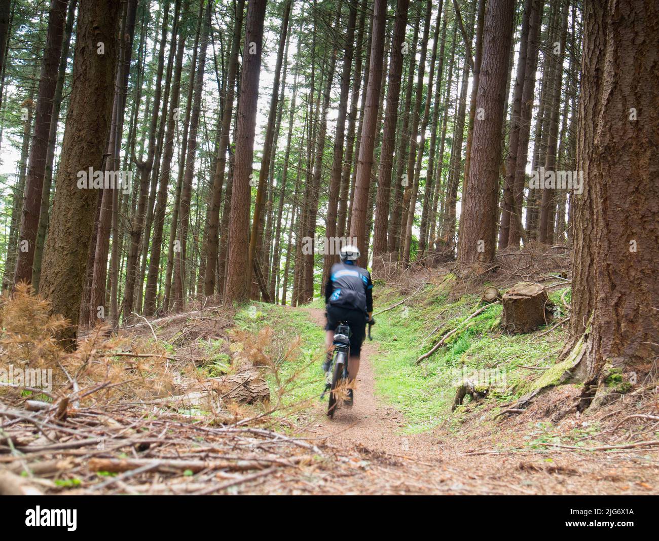 Cycling on Great Glen Way near Drumnadrochit, Highland Scotland Stock Photo
