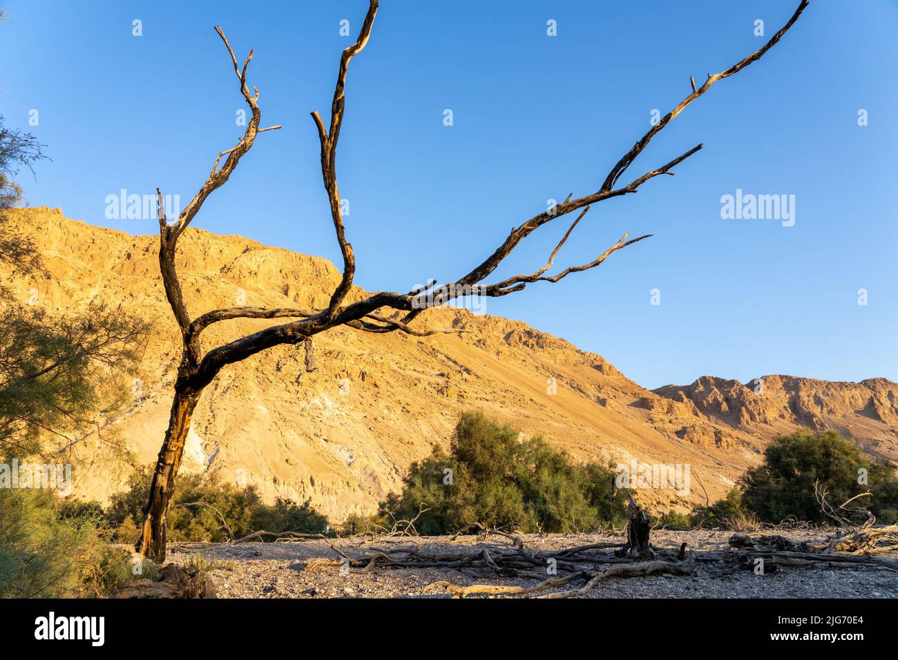 Ein Feshkha, also known as Einot Tzukim, is the lowest nature reserve in the world, located in the Judean Desert alongside the shores of the Dead SeaE Stock Photo