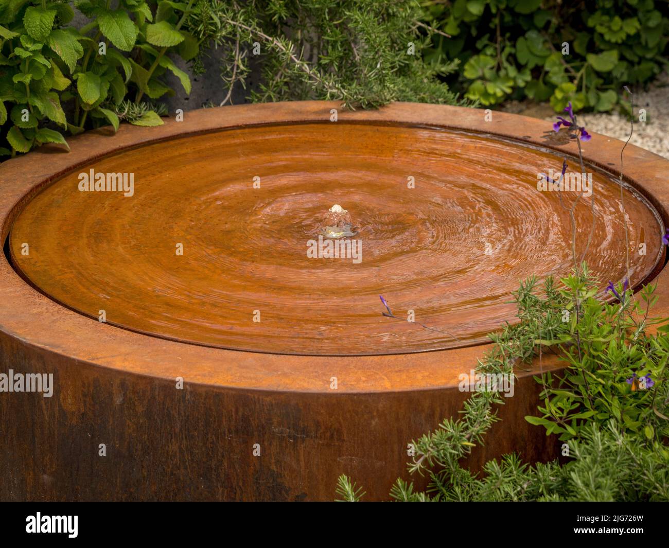 Circular flat Corten steel water feature in a UK garden. Stock Photo