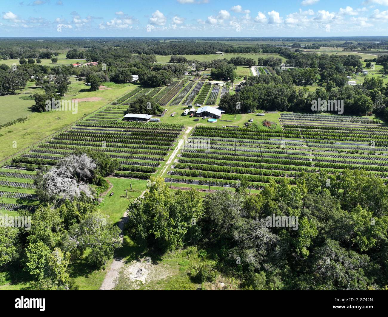 Farmhouse Groveland, FL Stock Photo Alamy