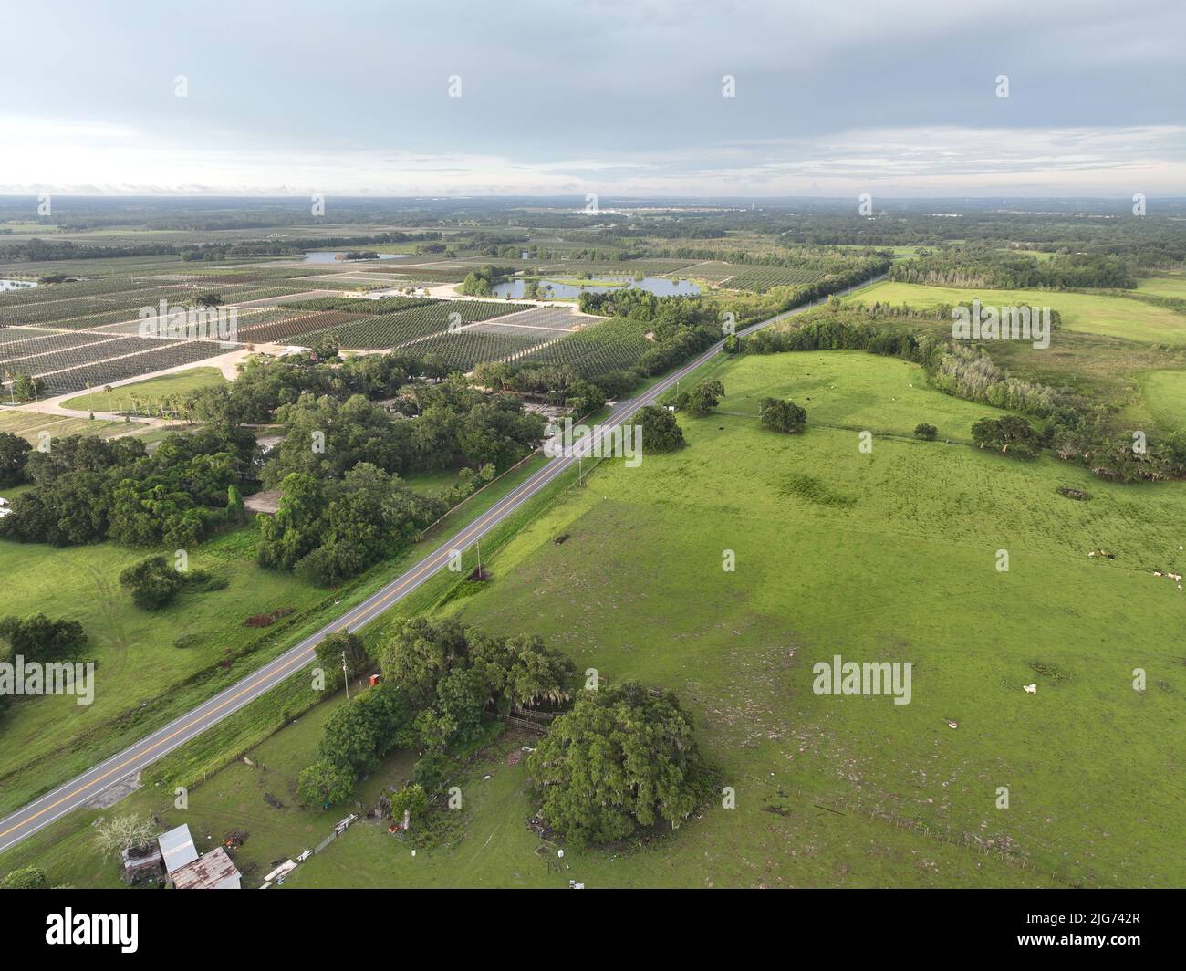 Farmhouse Groveland, FL Stock Photo Alamy