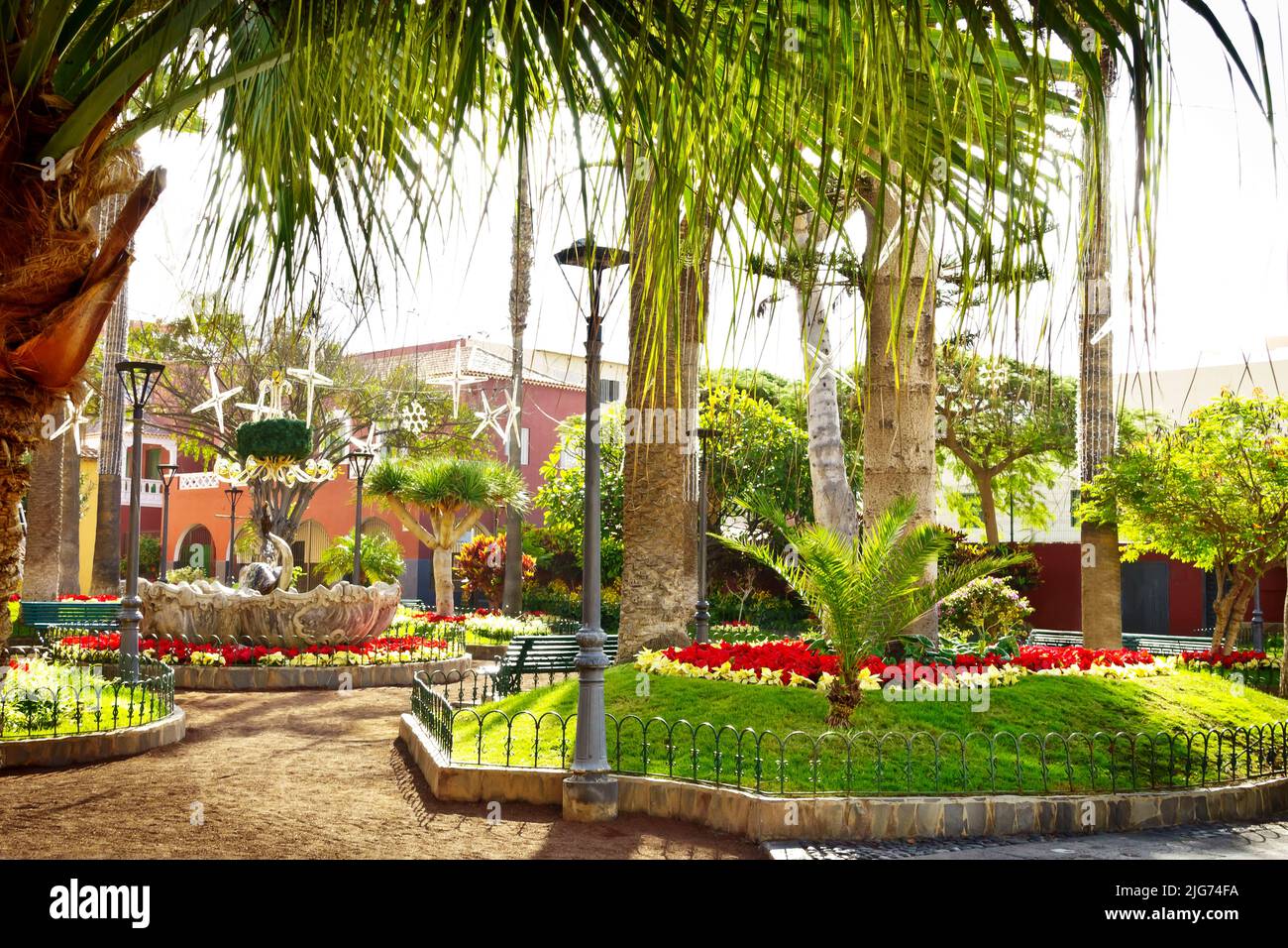 Christmas decorations and red poinsettia flowers in the park on Plaza de la Iglesia in the old town of Puerto de la Cruz, Tenerife, Canary Islands. Stock Photo