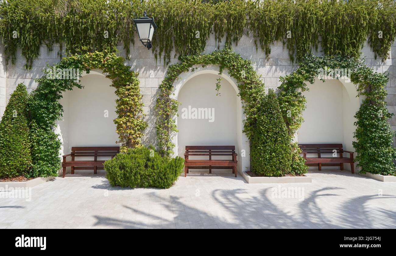 Ornamental garden with benches by the arched ivy wall. Stock Photo