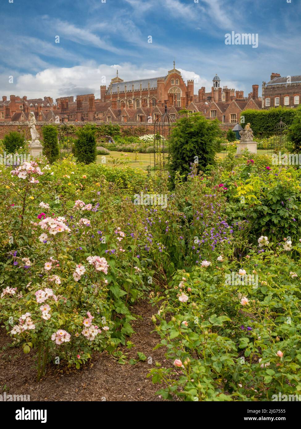 The Rose Garden at Hampton Palace. London. UK Stock Photo