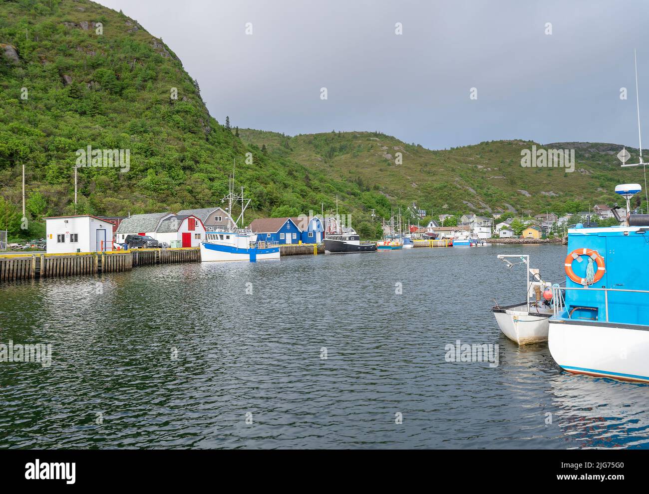 Overview of the fishing harbour at the village of Petty Harbour Stock Photo Alamy