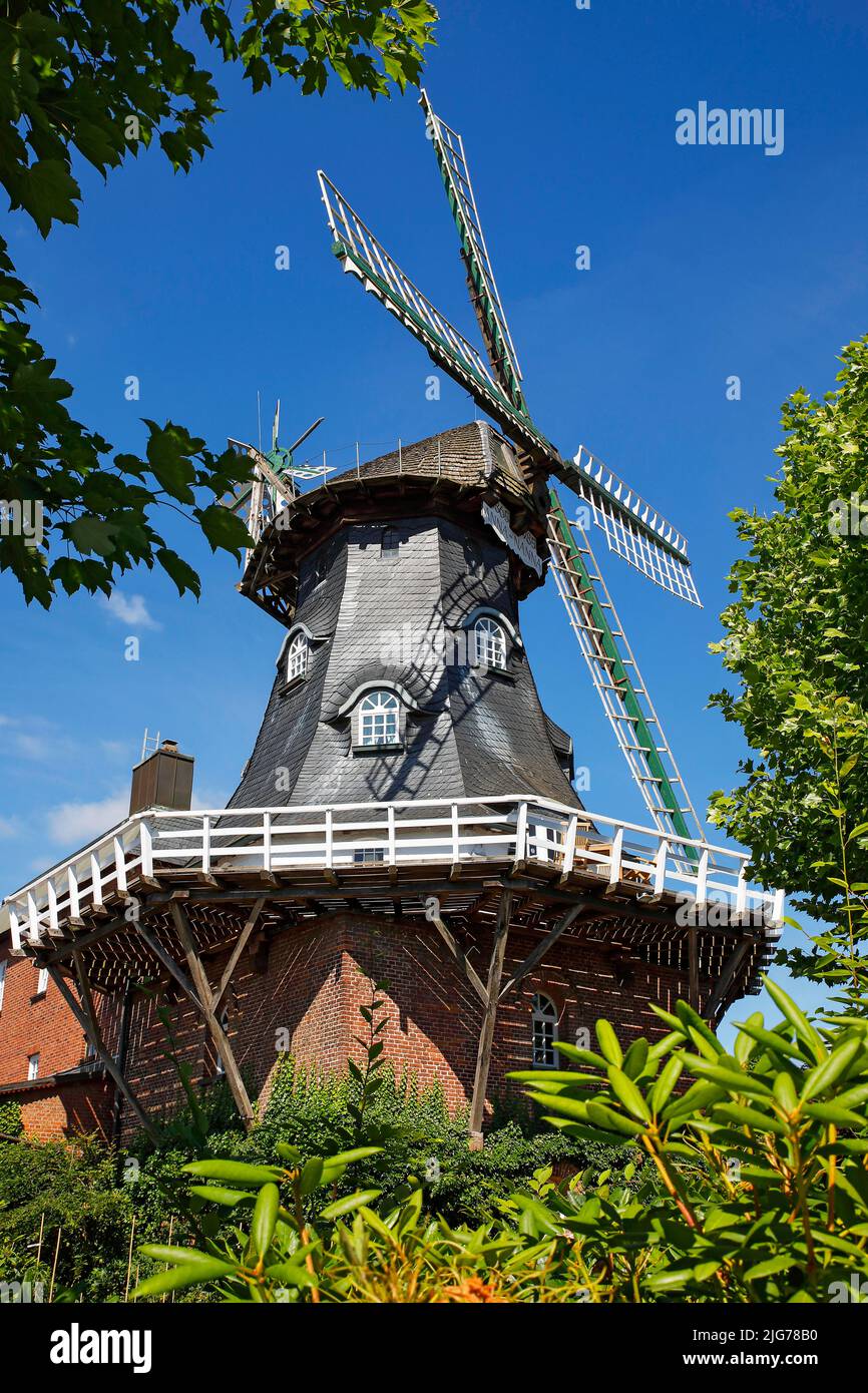 Windmill Anna-Nanna, historic windmill from 1865, type Galeriehollaender, Garlstorf, Niedersaechsische Muehlenstrasse, Lower Saxony, Germany Stock Photo