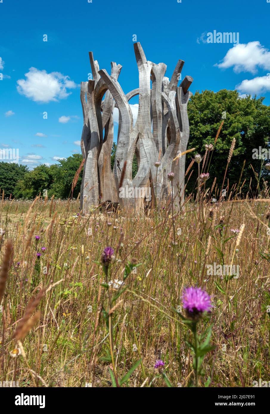 Witness (2016-2021) sculpture by John Merrill at Langley Vale Centenary Wood in Epsom, Surrey, England, UK Stock Photo