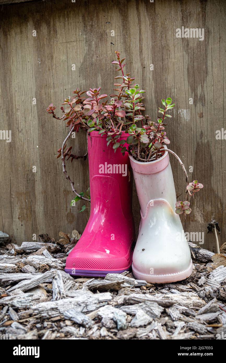 Childrens rain boots hi res stock photography and images Alamy