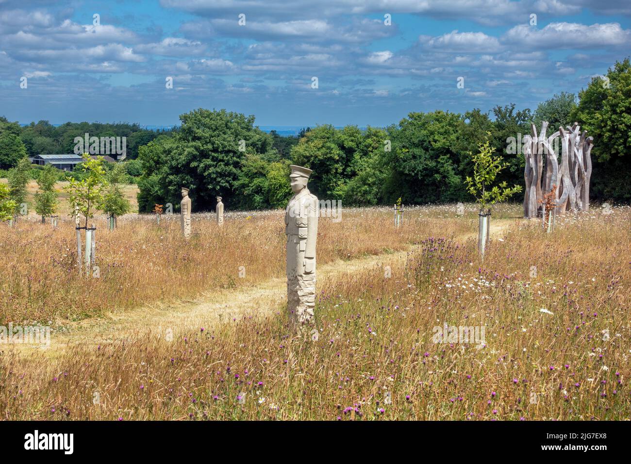 The Regiment of Trees (2017-2019) and Witness (2016-2021) sculptures at Langley Vale Centenary Wood in Epsom, Surrey, England, UK Stock Photo