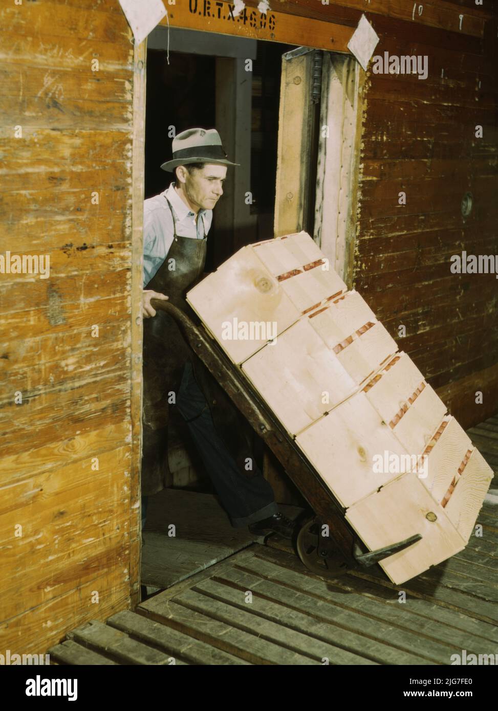 Loading oranges into refrigerator car at a co-op orange packing plant. Stock Photo