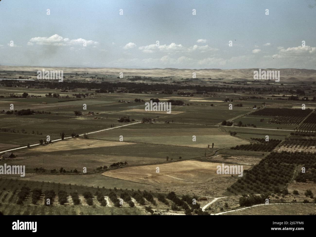 Cherry orchards and farming land, Emmett, Idaho Stock Photo Alamy
