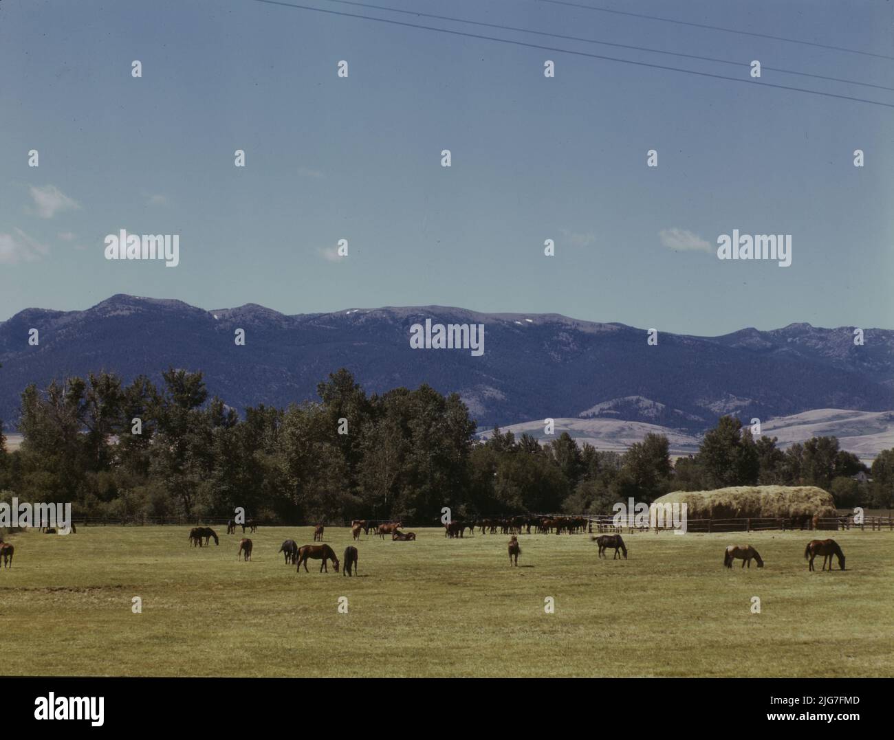 Horse breeding ranch, Grant Co., Oregon Stock Photo Alamy