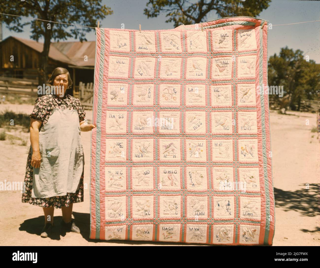 Mrs. Bill Stagg with state quilt that she made, Pie Town, New Mexico. A community settled by about 200 migrant Texas and Oklahoma farmers who filed homestead claims ... Mrs. Stagg helps her husband in the field with plowing planting, weeding corn and harvesting beans. She quilts while she rests during the noon hour. Stock Photo