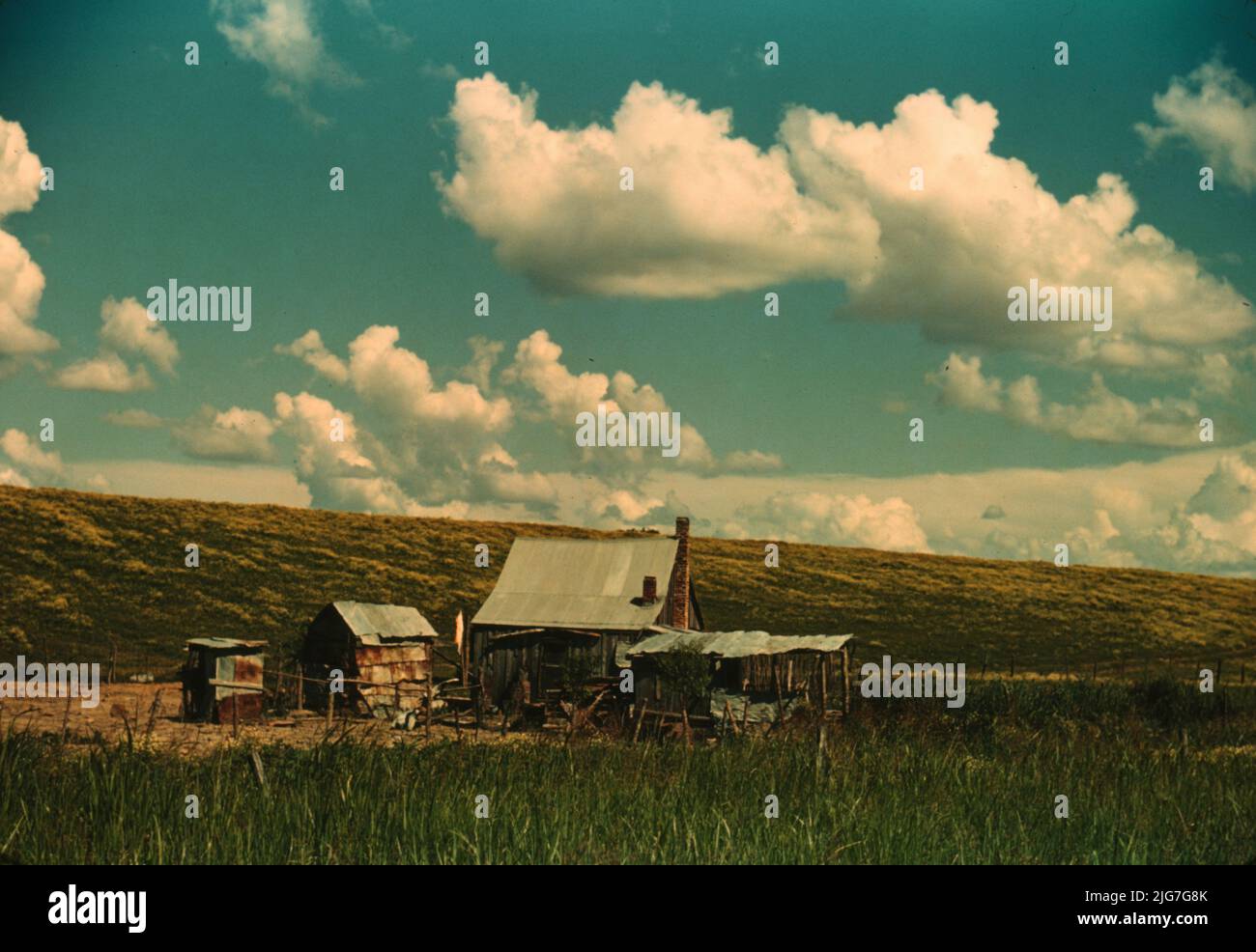 Negro tenant's home beside the Mississippi River levee, near Lake