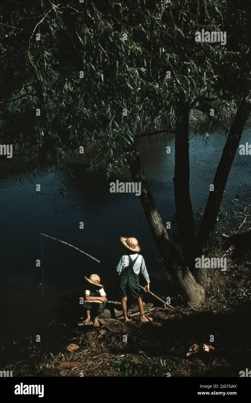 Boys fishing in a bayou, Schriever, Louisiana. Stock Photo