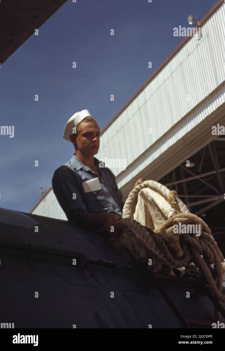 Sailor mechanic inspecting a PBY plane at the Naval Air Base, Corpus Christi, Texas. Stock Photo