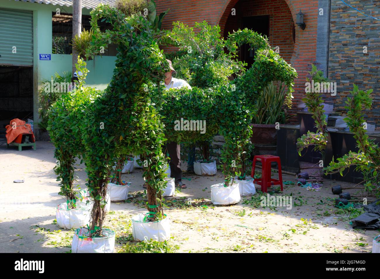 Cai Mon flower village, Can Tho, Vietnam - February 7, 2015: Figure goat symbol of the new year by the artist bending trees, elaborately trimmed for m Stock Photo