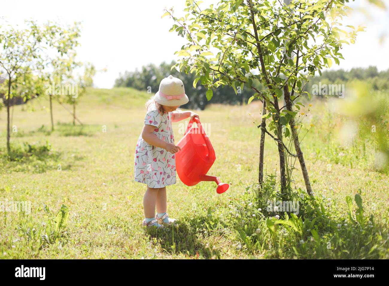 A little cute baby girl 3-4 years old in a dress watering the plants from a watering can in the garden. Kids having fun gardening on a bright sunny Stock Photo