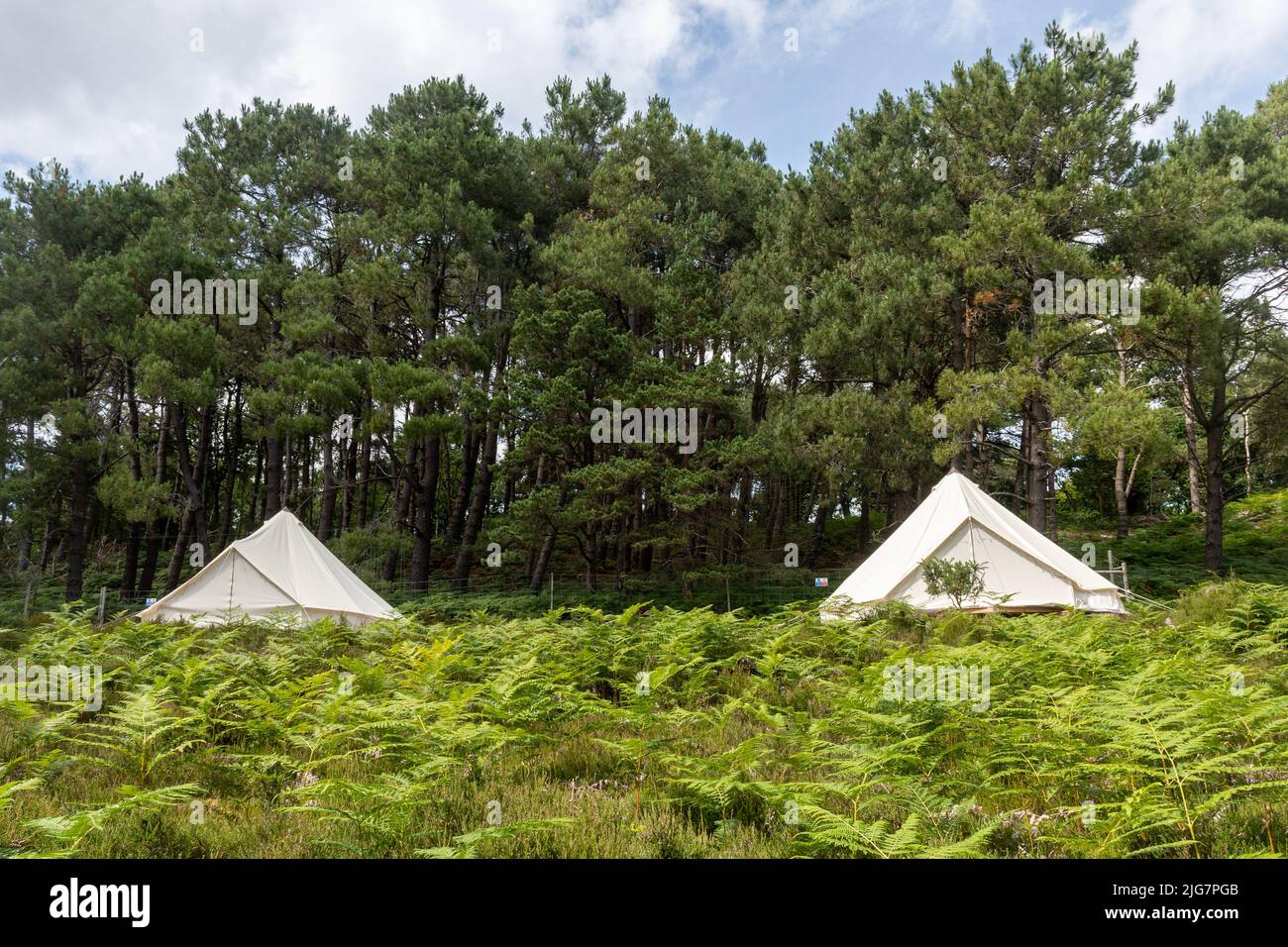 Glamping tents, camp site, camping on Brownsea Island, Dorset, England, UK Stock Photo