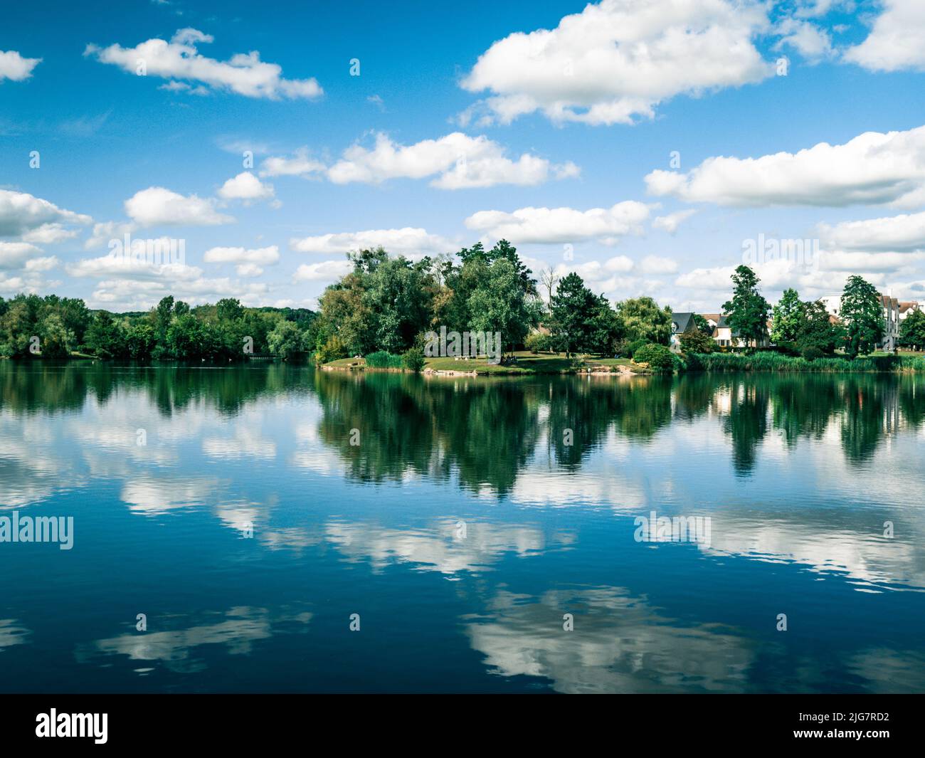 A mesmerizing view of a line of trees with reflection in the water ...