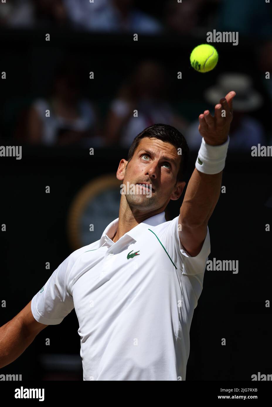 8th July 2022, All England Lawn Tennis and Croquet Club, London, England; Wimbledon Tennis tournament; Novakand#xa0;Djokovic (SRB) serves to Cameron Norrie (GBR) in the mens singles semi-final Credit Action Plus Sports Images/Alamy