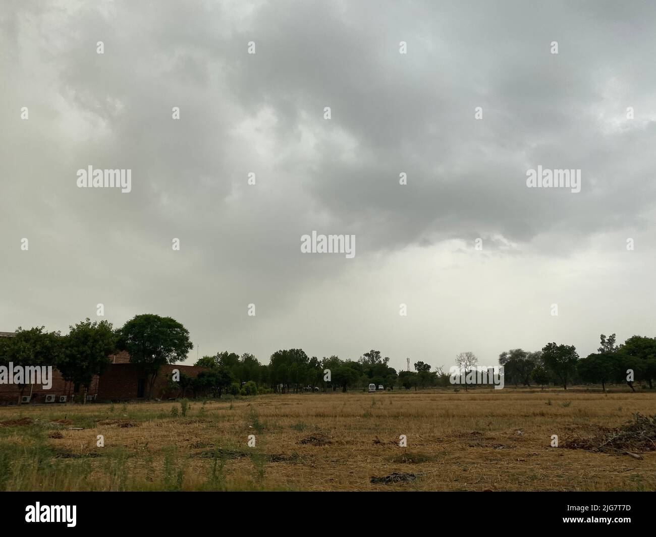 An empty field surrounded by trees on a cloudy day Stock Photo - Alamy