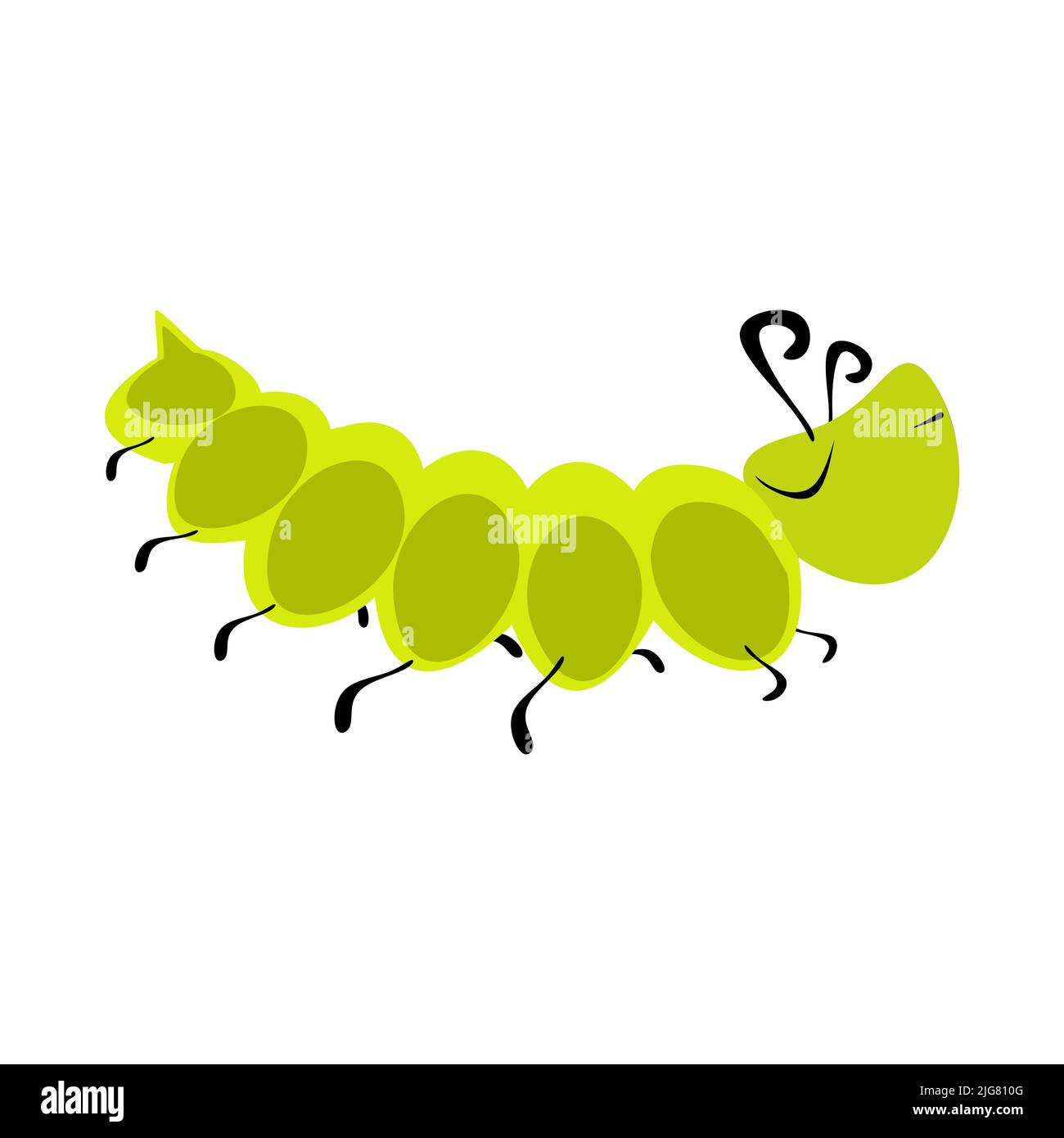 Vector clipart of animals and insects isolated on white background ...