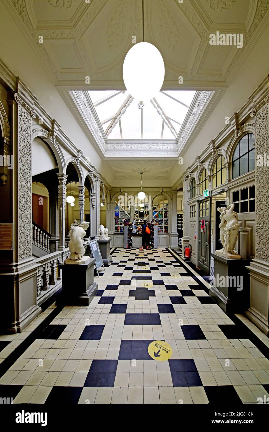 Newcastle University for art the Hatton Gallery concourse entrance and art shop lined with sculptures Stock Photo