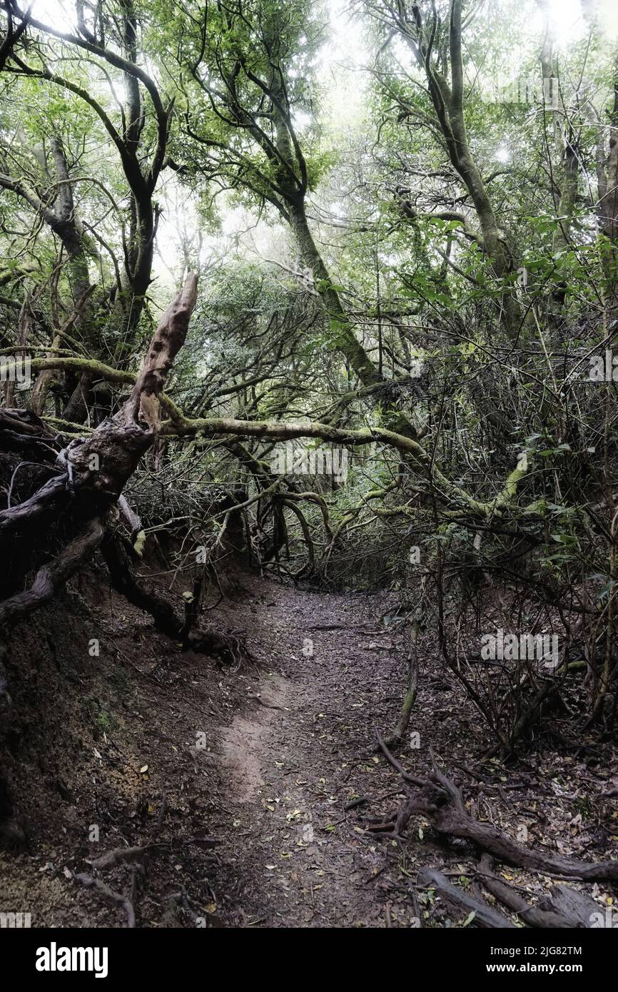Unpaved Path Vertical shot unpaved road hi-res stock photography and images - Alamy