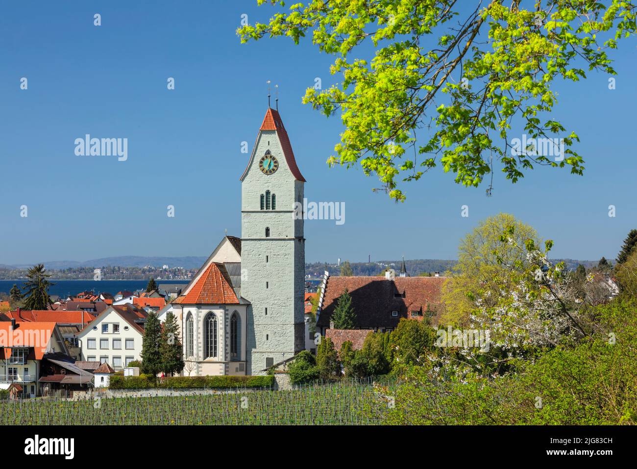 Hagnau on Lake Constance in spring, Baden-Wuerttemberg, Germany Stock Photo