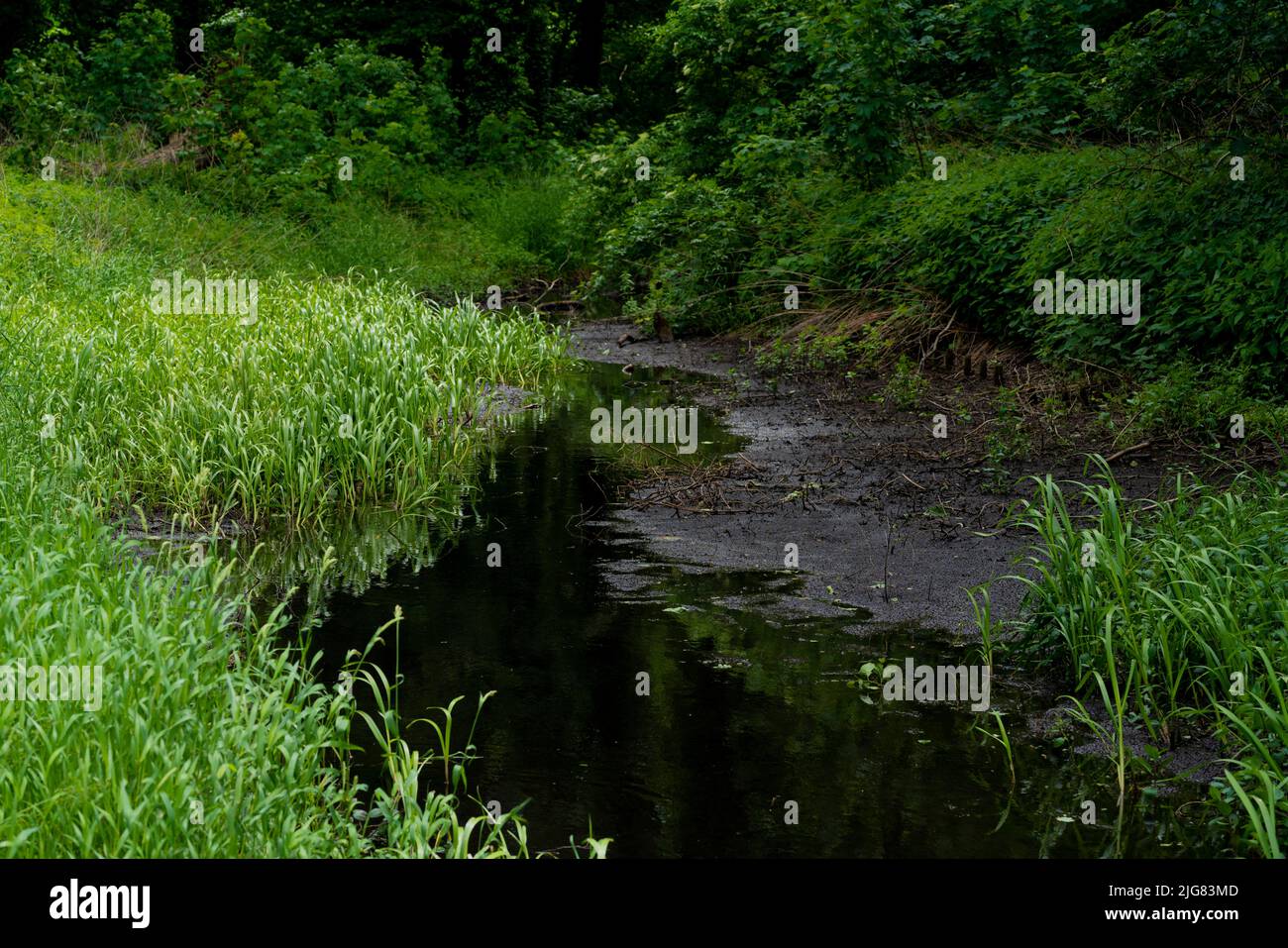 Almost dried up river in summer in Germany, Heat wave 2022 Stock Photo