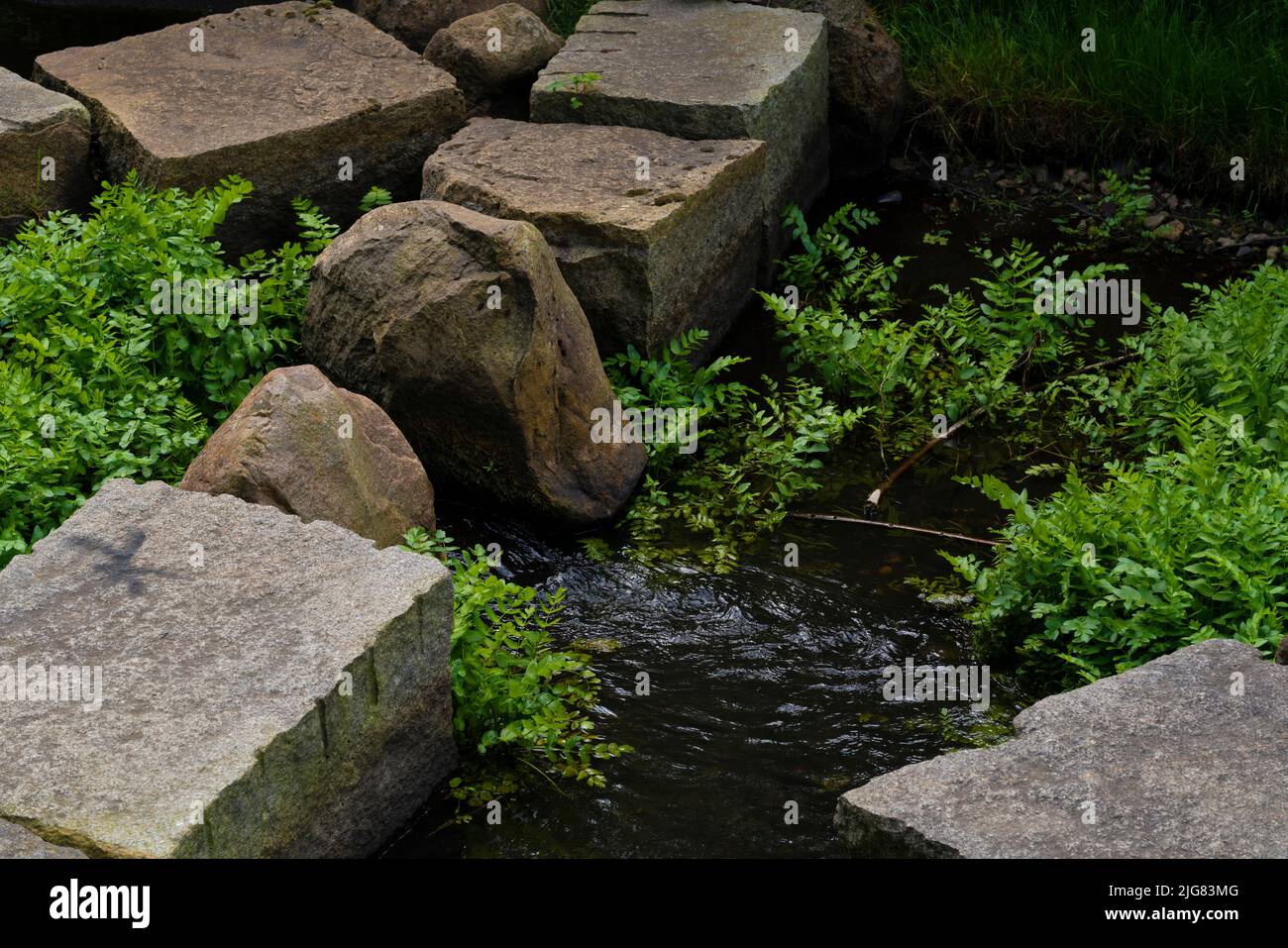 Fish ladder in summer in the city of Luckenwalde in Germany, strongly overgrown with aquatic plants Stock Photo