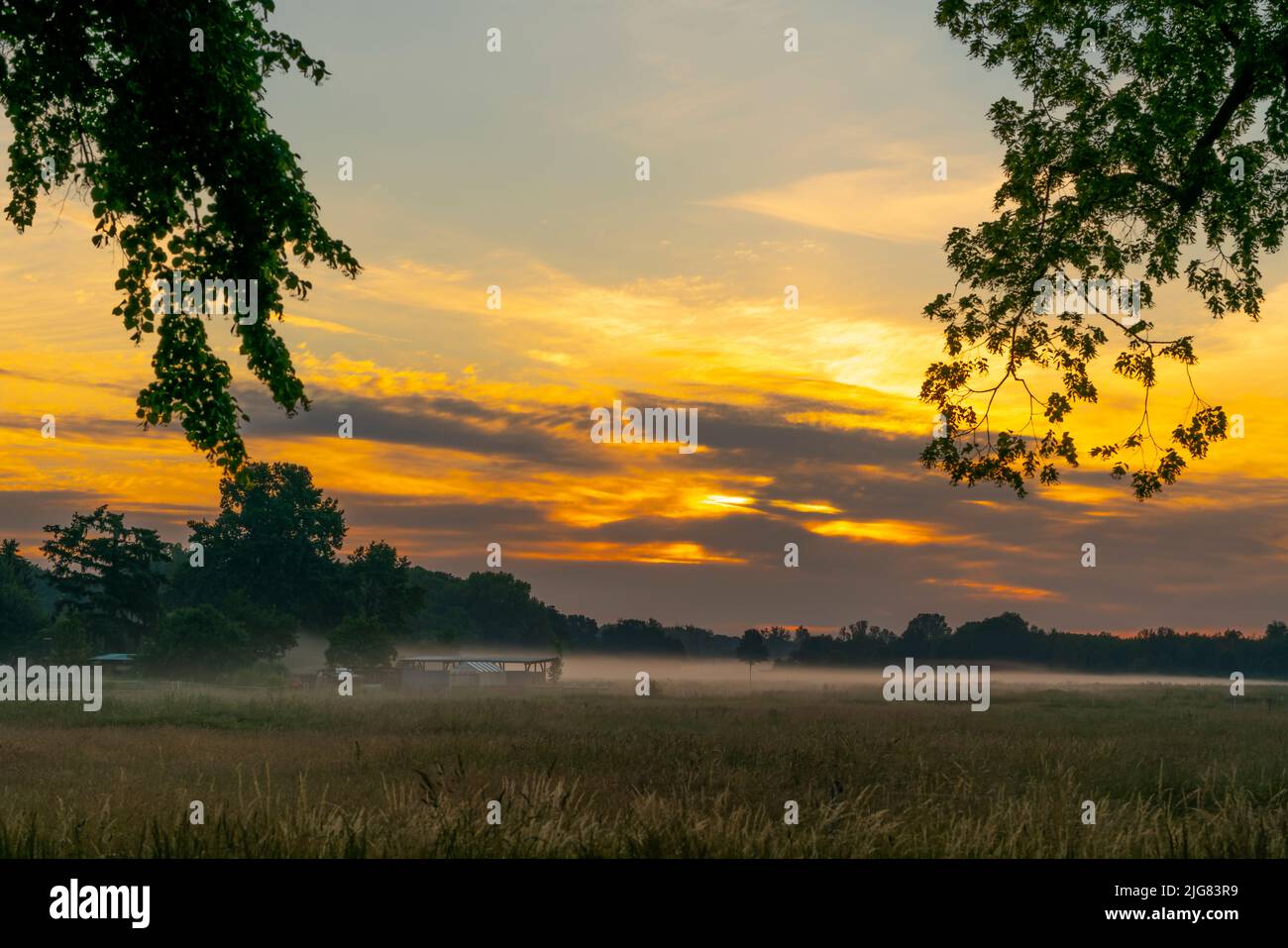 Sunrise on the outskirts of the Luckenwalde in summer, light fog on the meadow Stock Photo