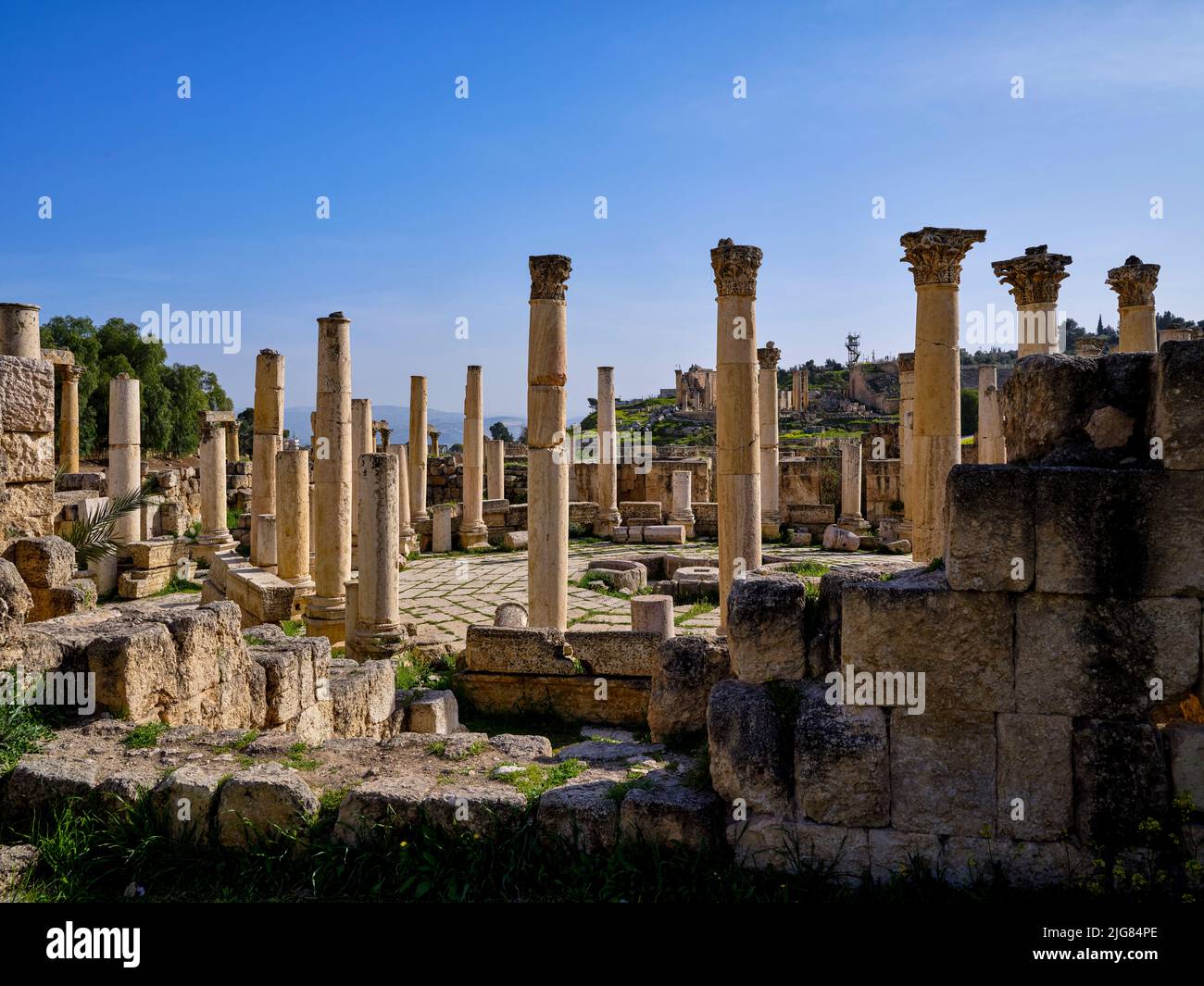 Roman excavations in Jerash, ancient Gerasa, Jordan Stock Photo - Alamy