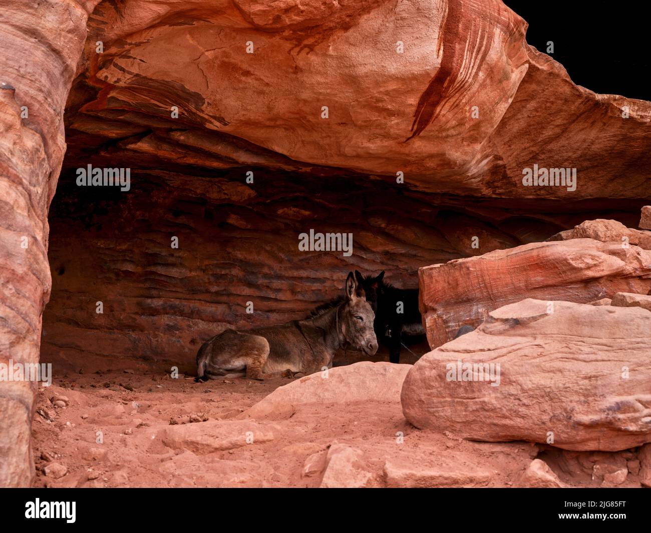 Petra, city of the Nabataeans, Jordan. Stock Photo