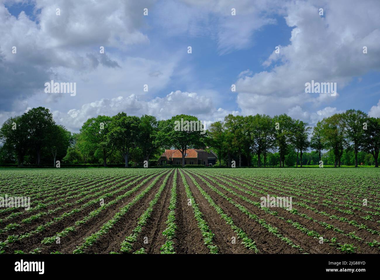 Farming field ridges soil hi-res stock photography and images - Alamy