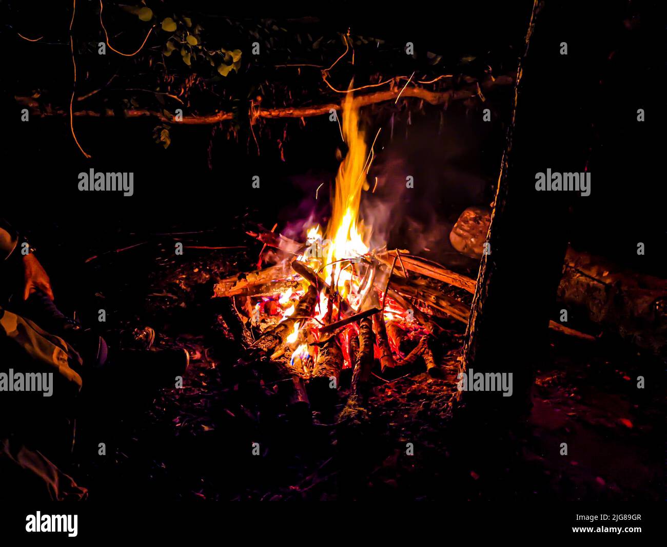 A burning campfire in the forest at night Stock Photo - Alamy