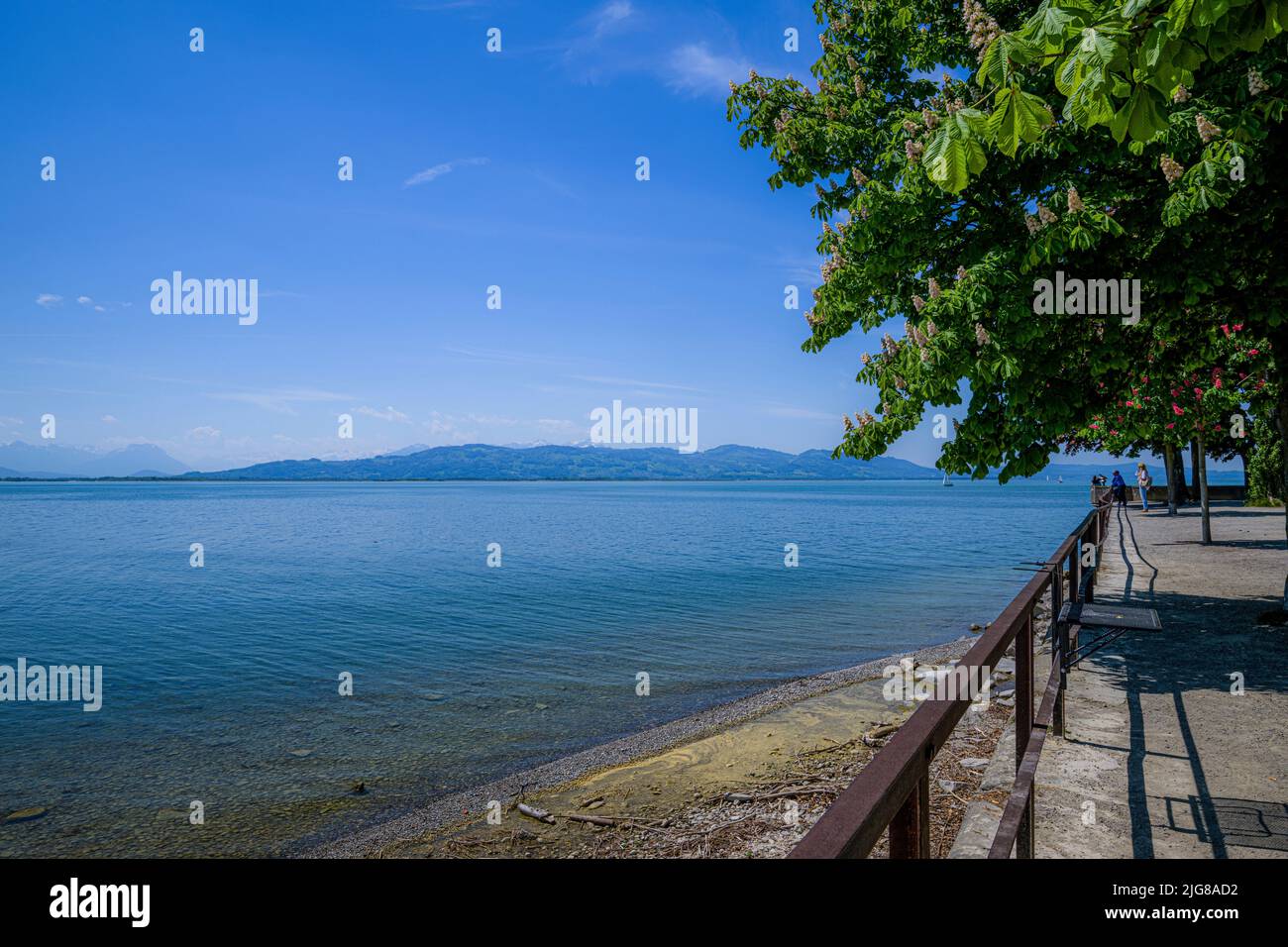 View in the park along the western Lake Constance from Lindau, Lindau Island, Reutin, Government District Swabia, Germany, Europe Stock Photo