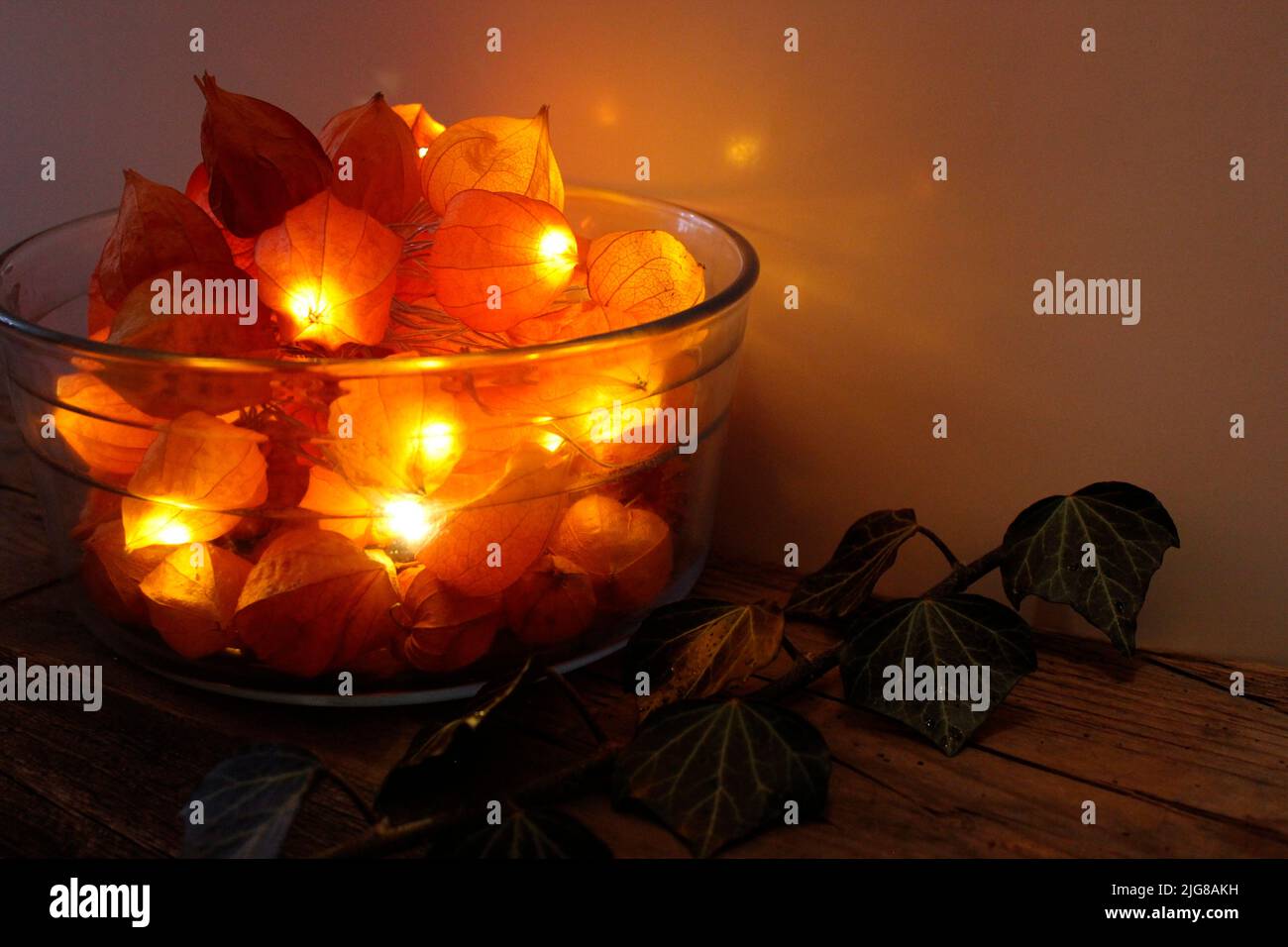 Decoration, bowl with lantern flowers, ivy, atmospheric, decorative Stock Photo