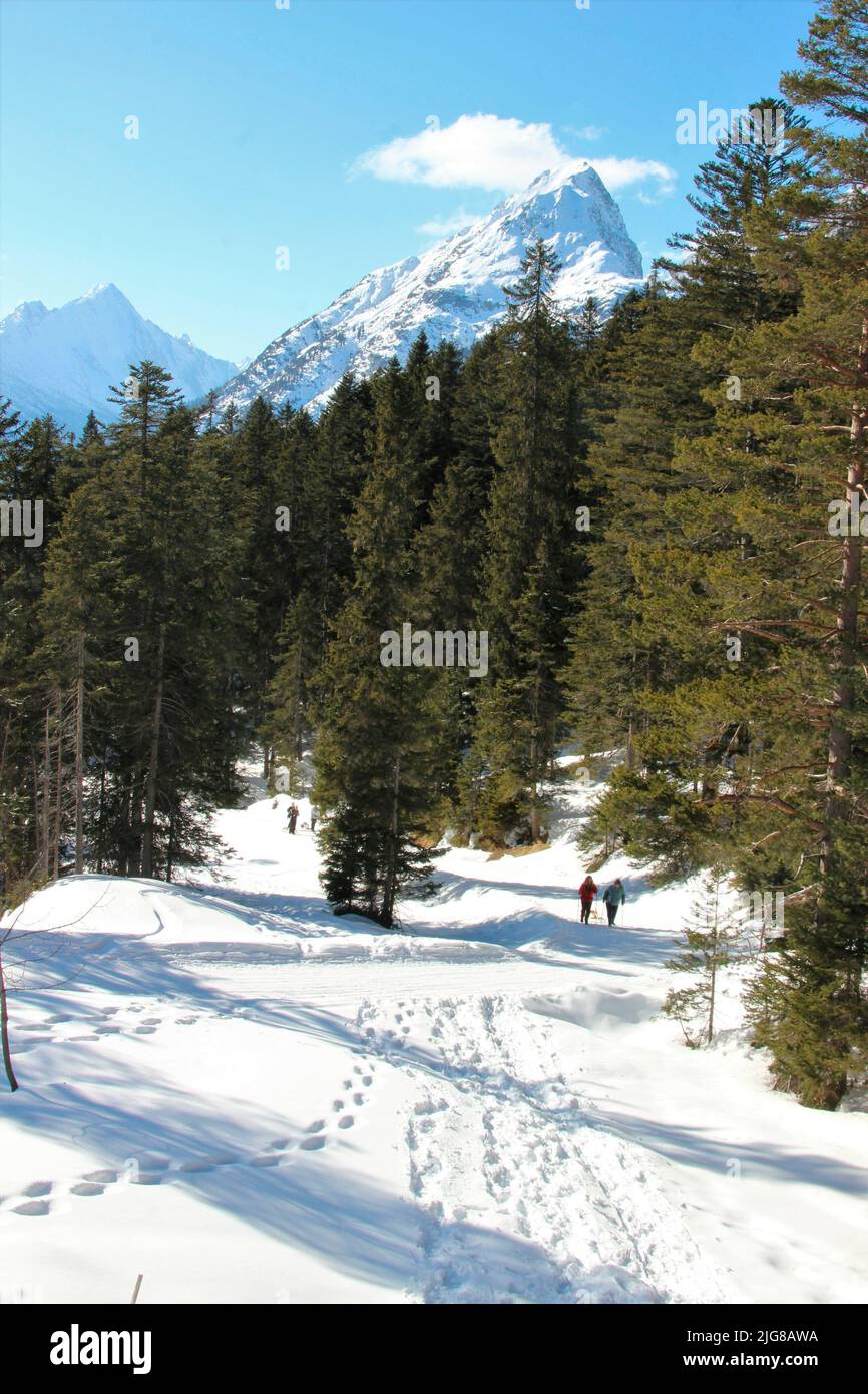 Hiker on the toboggan run Hoher Sattel, hunter hut, winter landscape, nature, Ahrn, Leutasch, Scharnitz, Seefeld, Tyrol, Austria Stock Photo