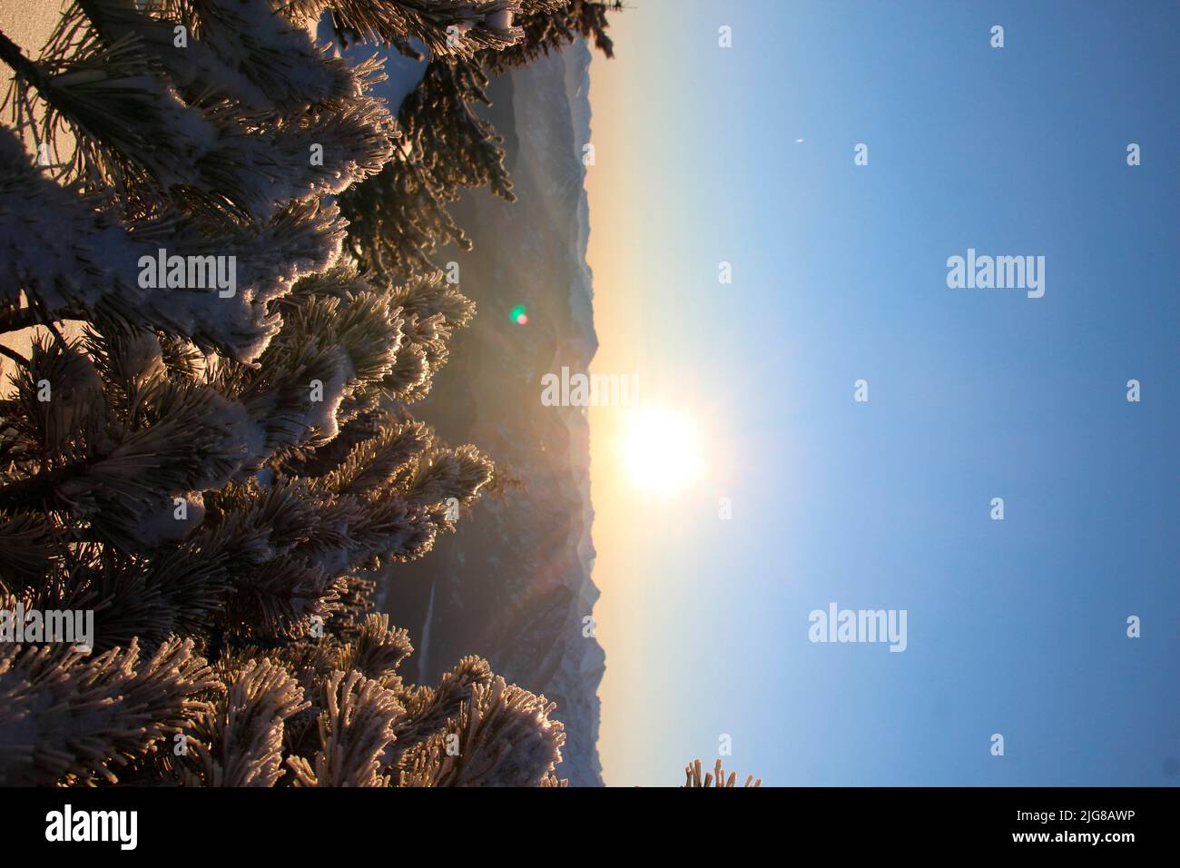 Winter hike through the mountain forest to Simetsberg. Path, Germany, Bavaria, Walchensee, Einsiedl, Stock Photo
