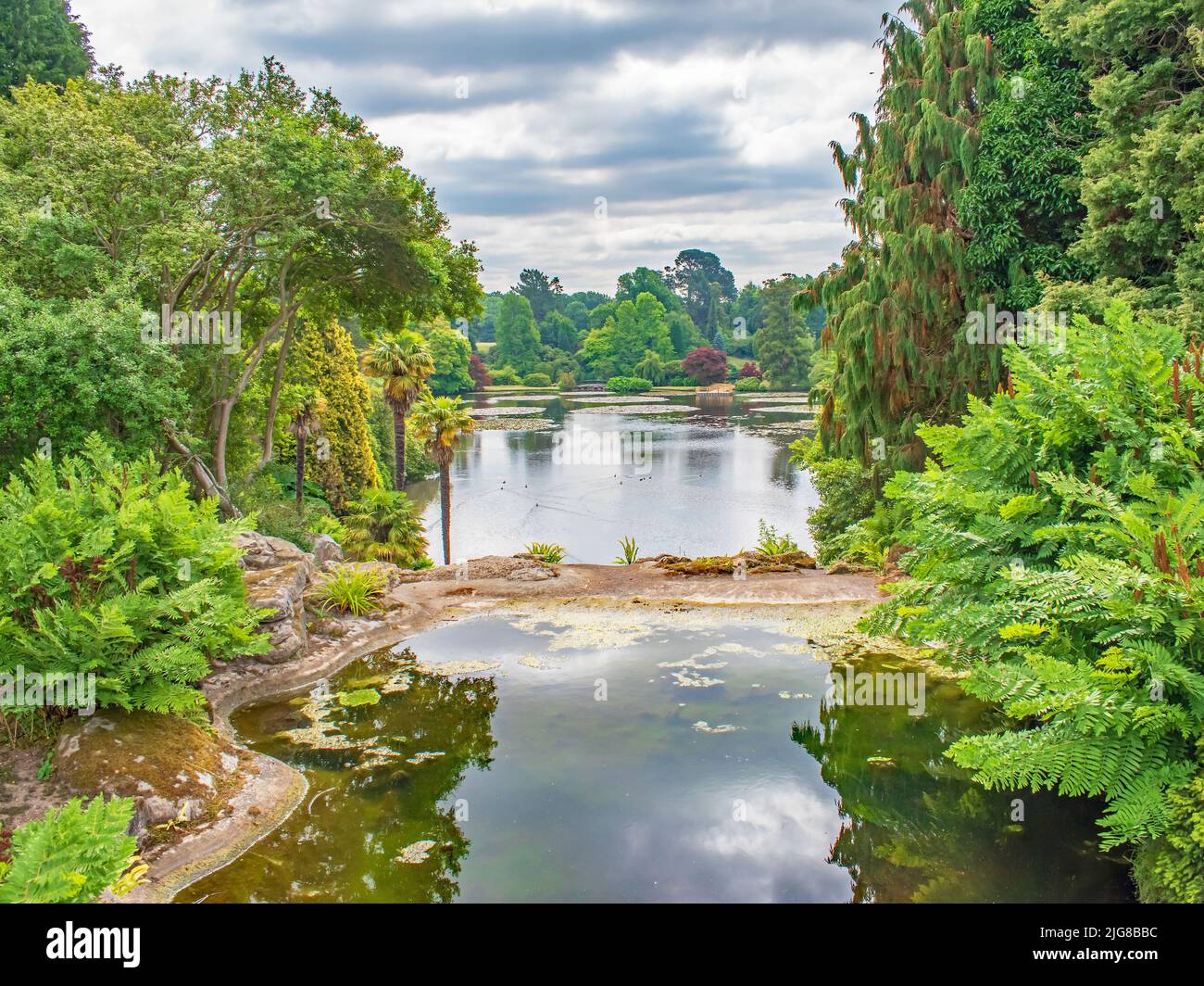 A gorgeous colourful view across the lake of Sheffield park from a stone bridge Stock Photo