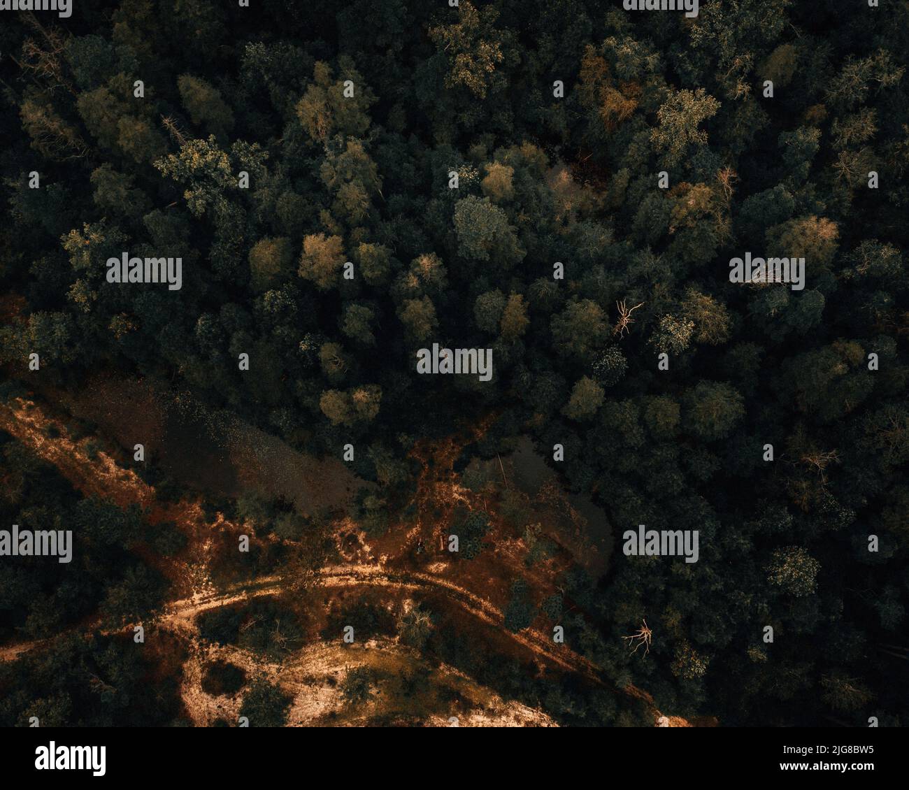 Aerial view dense forest dirt hi-res stock photography and images - Alamy