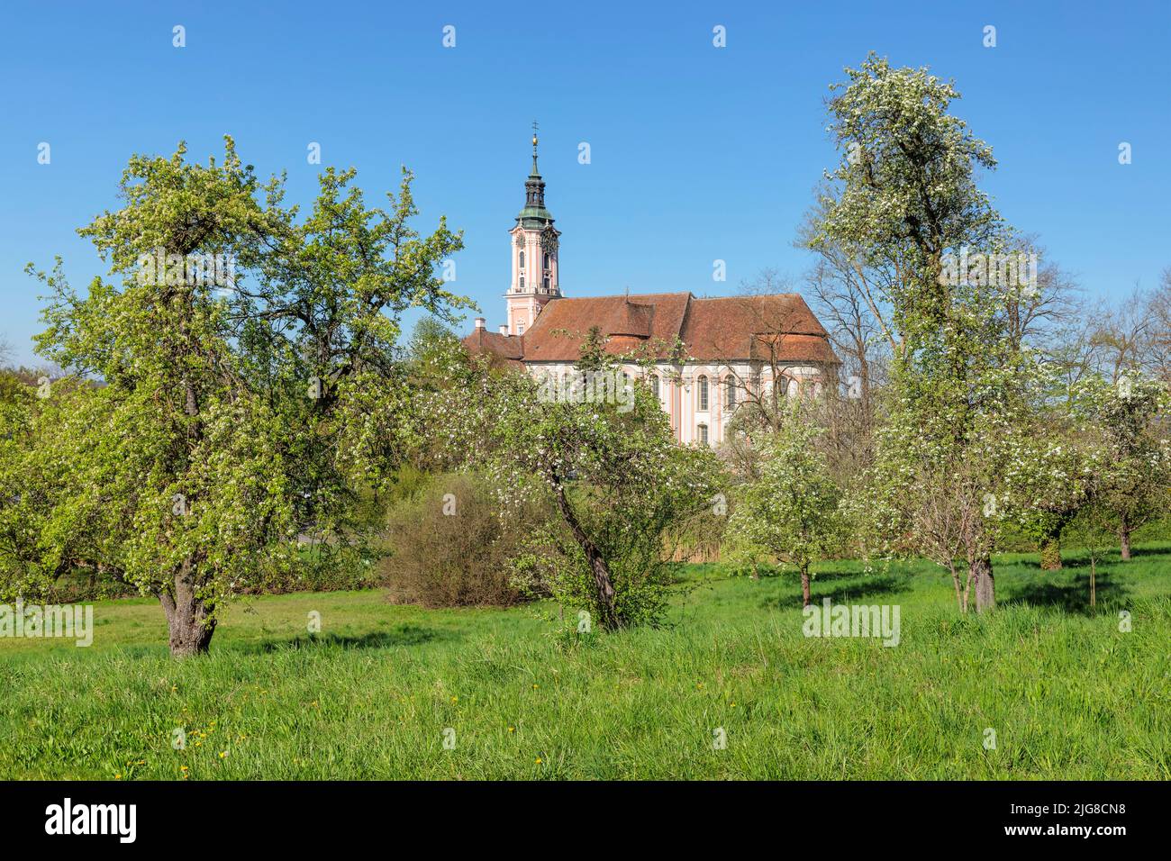 Pilgrimage church Birnau, fruit tree blossom in spring, Unteruhldingen, Lake Constance, Baden-Wuerttemberg, Germany Stock Photo