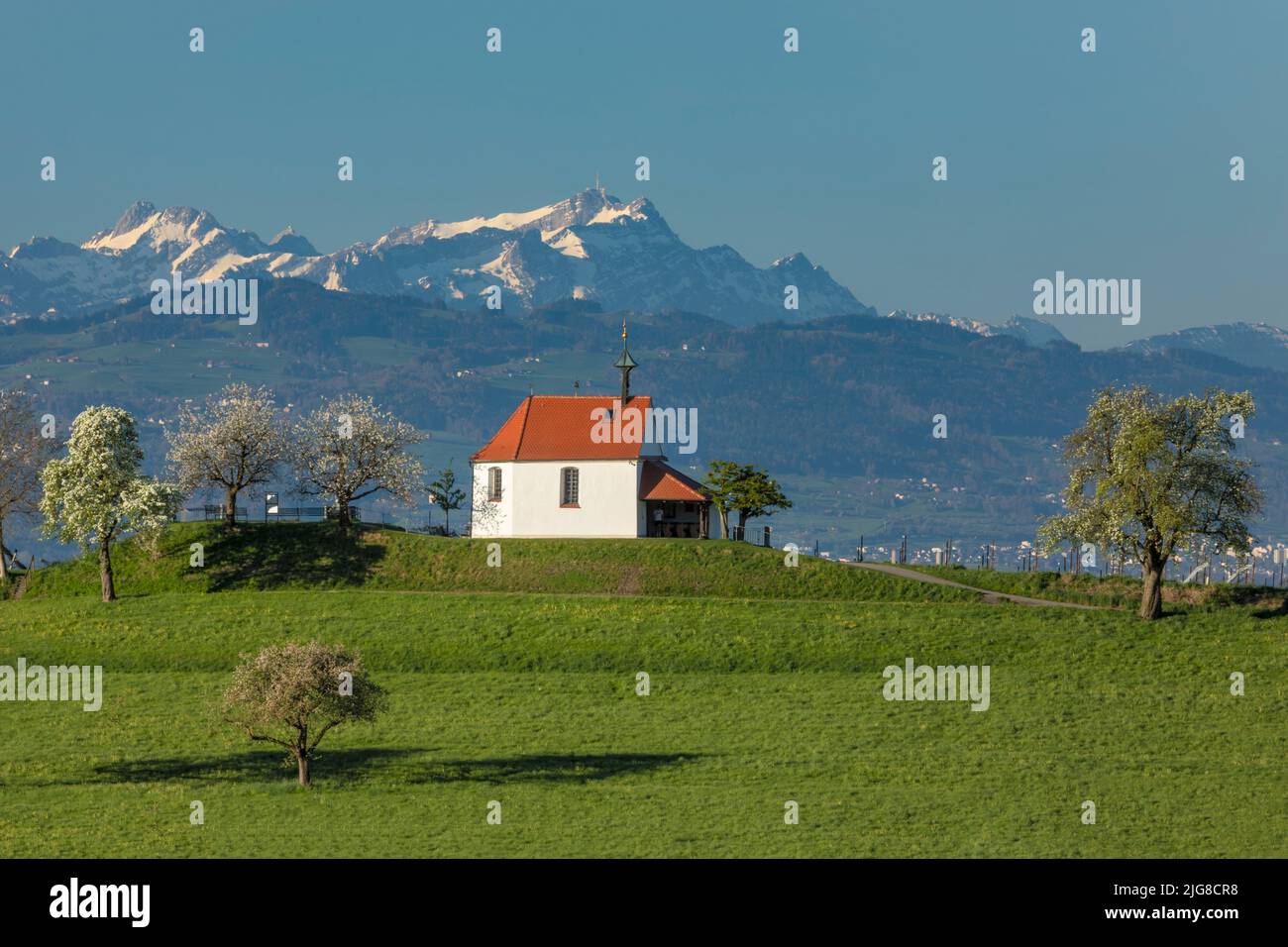 Chapel of St. Anthony with view to Säntis (2502m) in Selmnau near Wasserburg at Lake Constance, Swabia, Bavaria, Germany Stock Photo