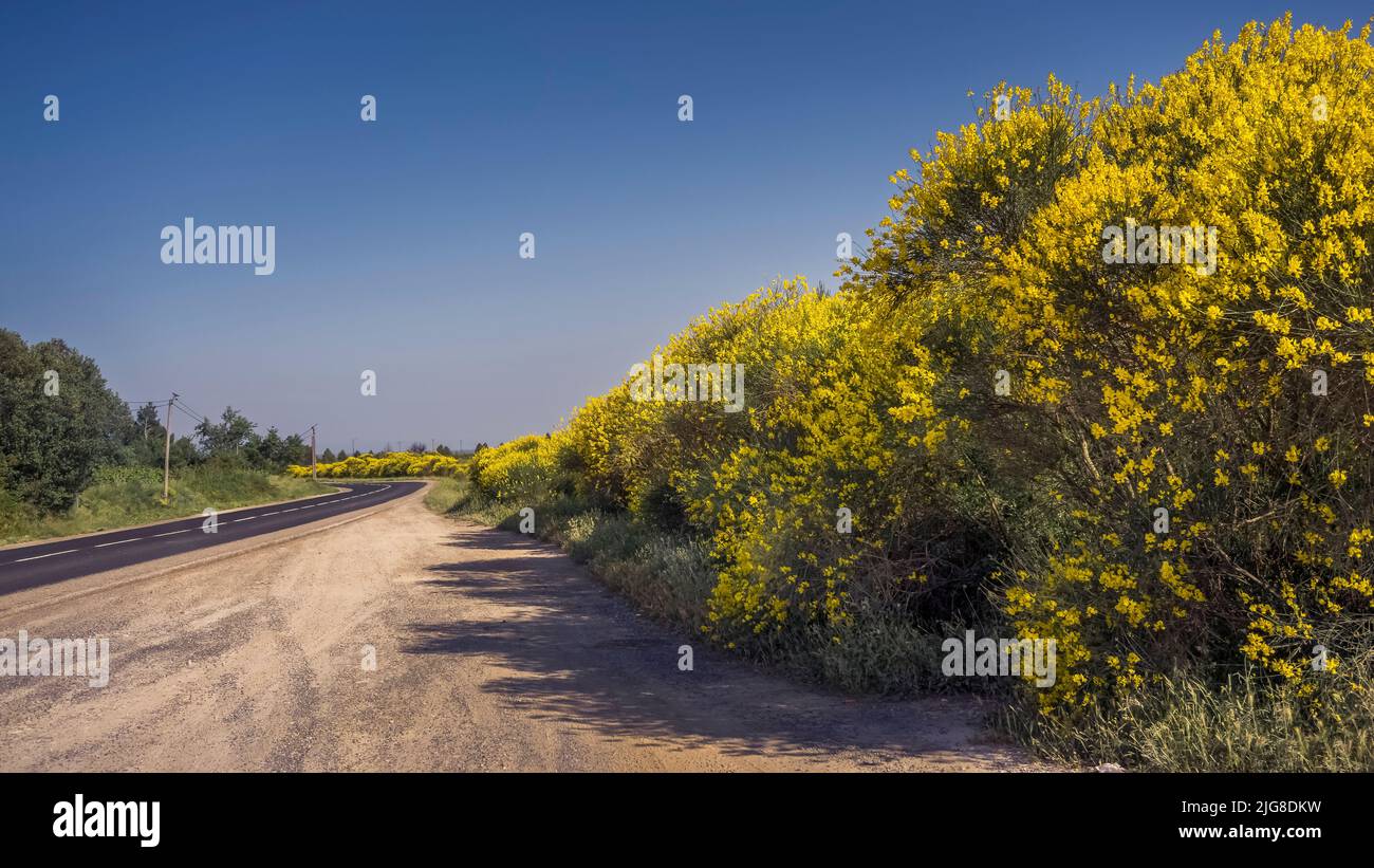 Country road near Perillos with Gingster in spring. Stock Photo