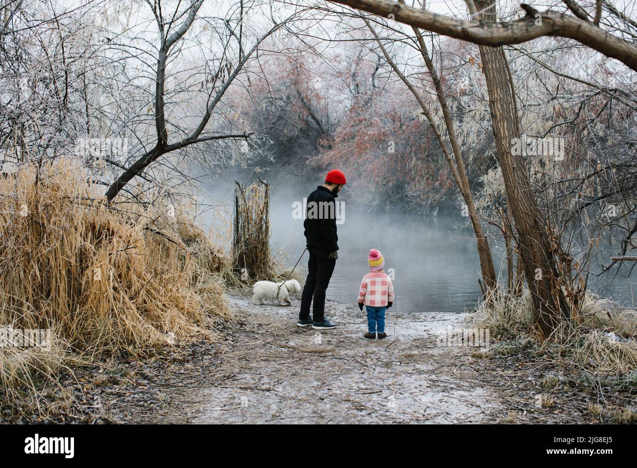 A Caucasian father walking with his toddler daughter through woods on a foggy winter day Stock Photo