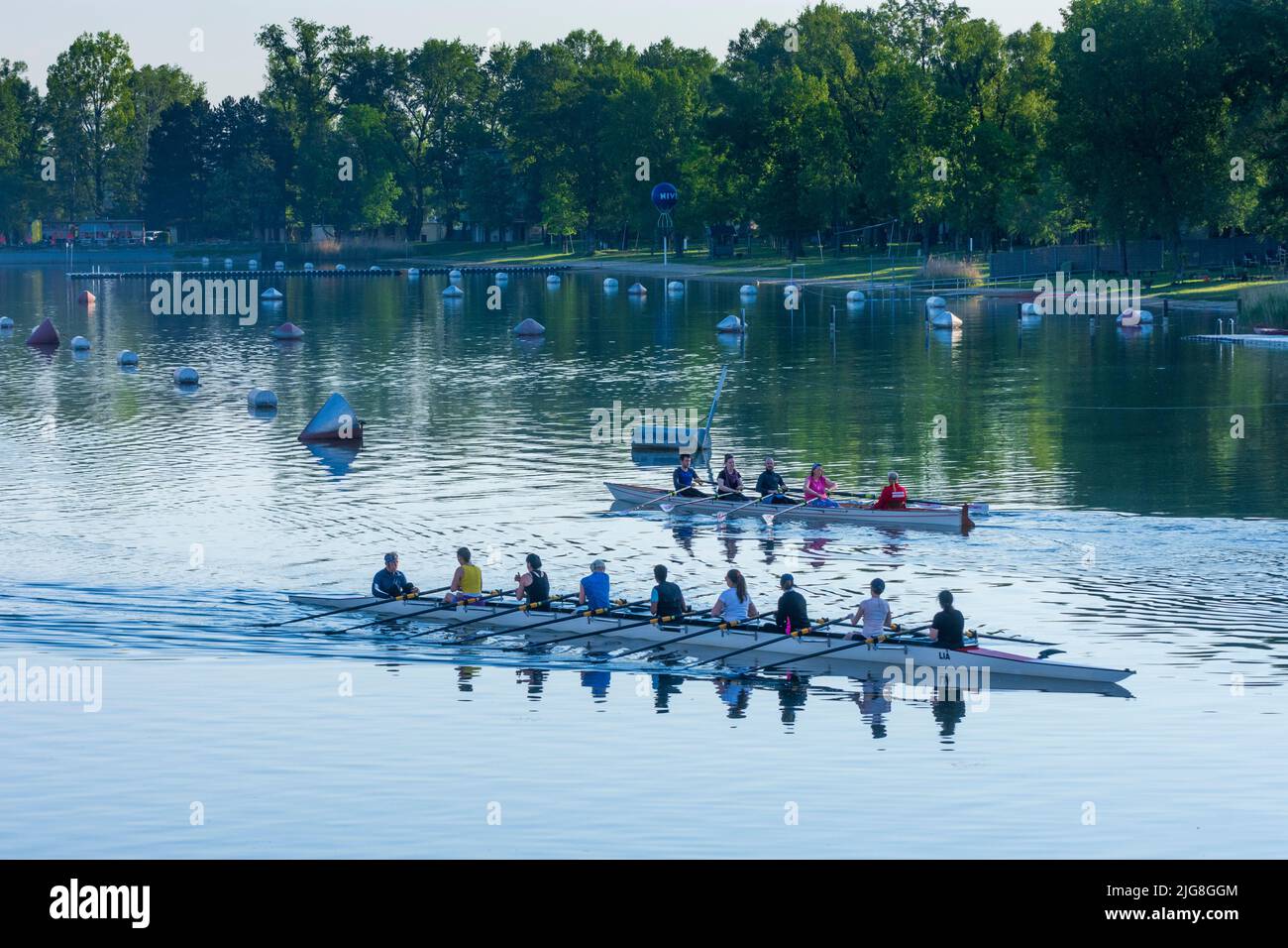Vienna, rowing boat on river Alte Donau (Old Danube) in 22. district Donaustadt, Wien, Austria Stock Photo
